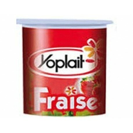 Yoplait Yaourt Nature Sucré 16 x 125 g : : Epicerie